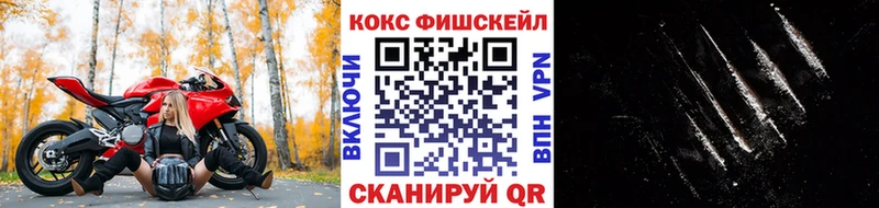 Купить где  Углич  COCAIN VHQ 