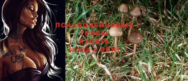 винт Баксан