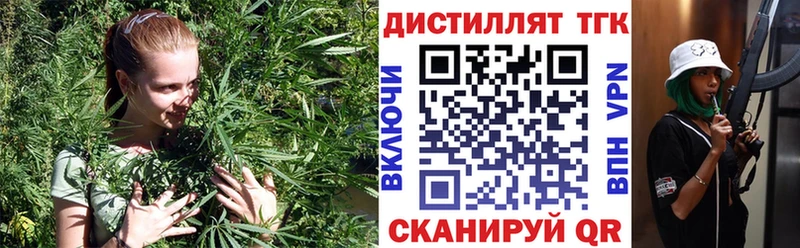 ТГК концентрат  Купить где  Углич 