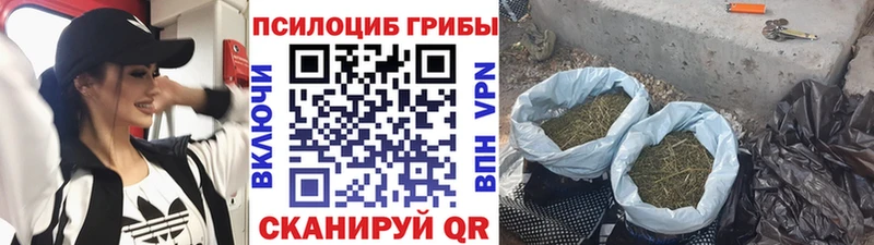 Купить  Углич  Галлюциногенные грибы Magic Shrooms 